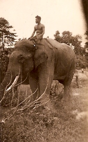 Clearing Camp Landis