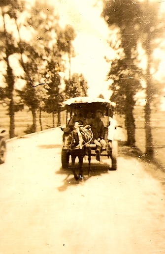 Cart in Kunming