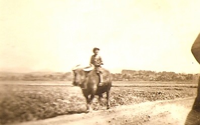 Riding a Water Buffalo